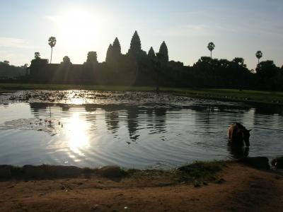 2009年秋 再会アンコール~二泉映陽~