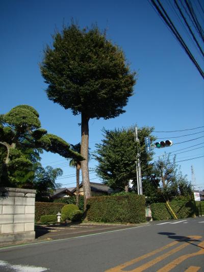 壮大な埼玉歴史ロマン紀行