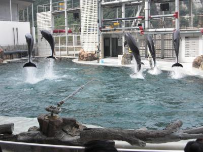 はじめての鳥取砂丘→湯村温泉　④　翌日城崎マリンワールドへ