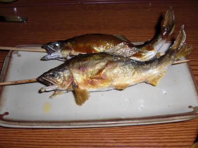 那珂川の鮎 矢沢のヤナ 2009.9