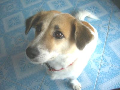 無 情 の 雨、雨、雨 ・・・ コン・チアム 再 訪 期 し ・・・