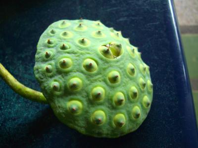 ウボンから国際バスでラオス・パクセーへ ~ その2 ~