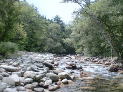 川に緑に！タダで自然を満喫できます　烏川渓谷緑地公園