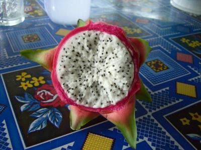 こ ん ち は ー ! コ ン ・ チ ア ム