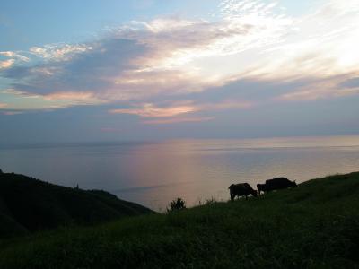 【島根】持たない贅沢、美しのくに隠岐島(西ノ島)