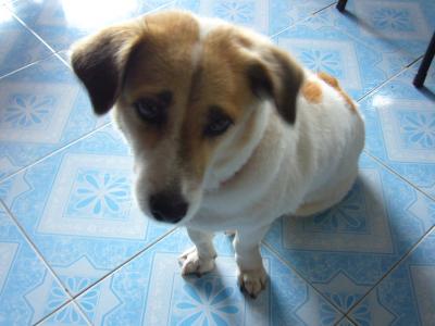 コ ン ・ チ ア ム あ っ ち こ っ ち ~ その1 ~