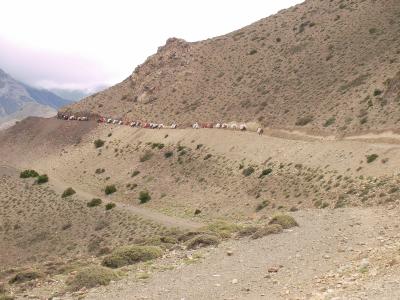 アンナプルナBCからムクティナートへ　トレッキング　２