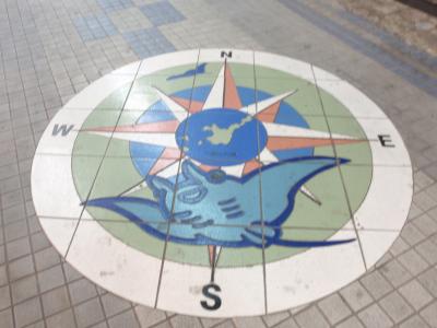 石垣島~マンタっ~り~初日