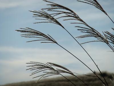 四国カルストの秋