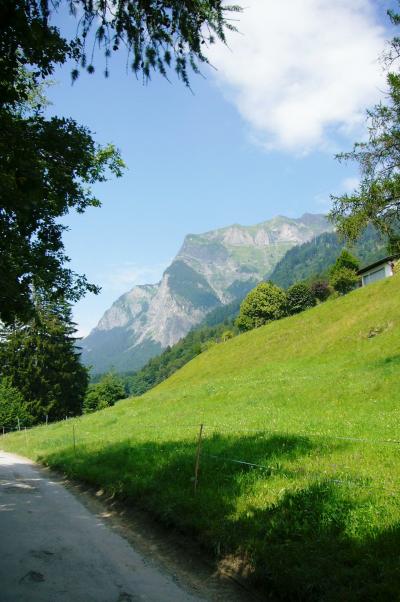 のんびり癒しの旅!?スイス旅行3日目～マイエンフェルトからインターラーケン編その2