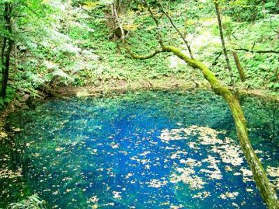 白神山地とコトコト五能線の旅