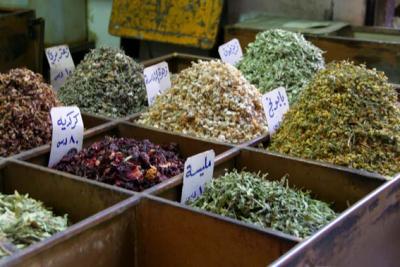 シリアの旅ダマスカス編No1