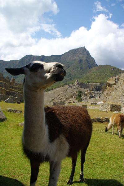 ペルーとボリビアの旅①