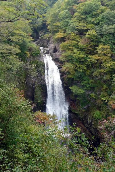 秋保の紅葉だより