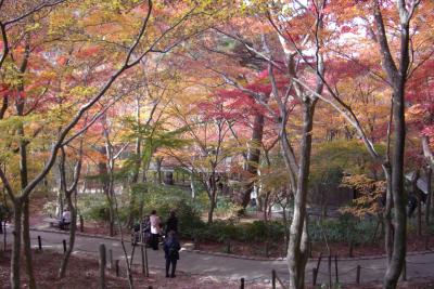 有馬 de 紅葉と美食の旅（２００７）