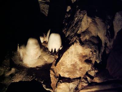 Carlsbad Caverns National Park　（２００６年春の旅行記）