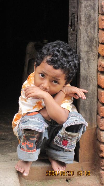 カトマンズ、ポカラ、 ヒマラヤ遊覧飛行チトワン公園　09年8月