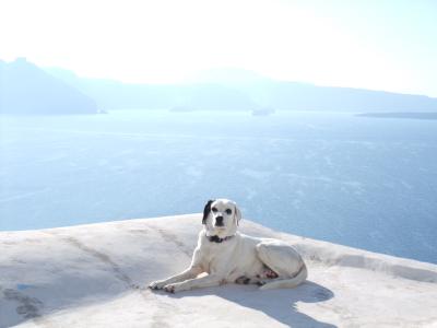 ギリシャサントリーニ島　一人旅　（その１）