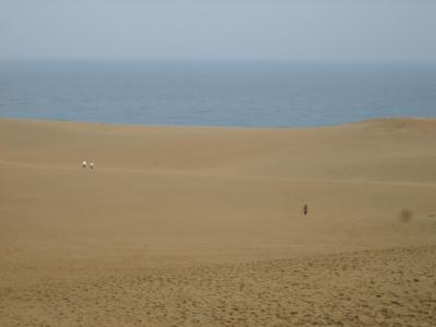 鳥取砂丘→丹後半島旅行