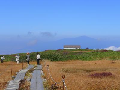 04弥陀ヶ原の湿原散策 in 月山