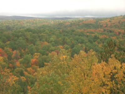 Lookout Trail を歩き、紅葉の樹海を見下ろす