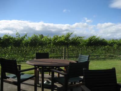 ニュージーランド北島一周の旅