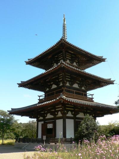 日本の旅　関西を歩く　奈良、法起寺と法輪寺