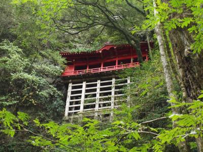 驚異の木造懸造り　～栃木県周遊編～