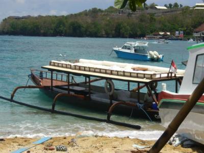 アマンキラのアクティビティー