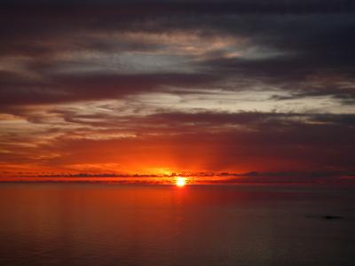 七回目の小笠原旅行