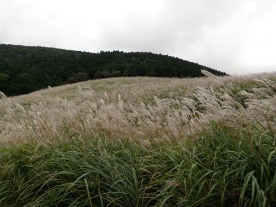 ワンと一緒♪箱根旅行　2009.10.10　～1日目～