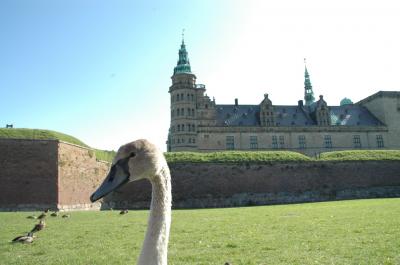 2008 北欧3ヶ国をめぐる旅 2　ハムレットの舞台・クロンボー城へ＆コペンハーゲン観光