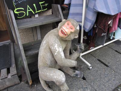 急きょ日帰り『日光』決行!コケコッコ~('_')