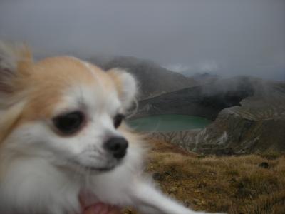 2009年10月：お犬様と東北のたびin山形