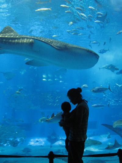 悠さん旅日記(沖縄編１)