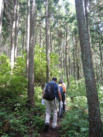 関東ふれあいの道--④「歴史のみち」を歩く