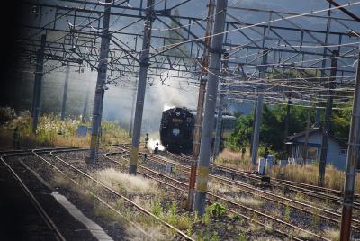 秩父鉄道のＳＬ、パレオエクスプレスに遭遇する！