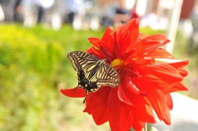 西安の奥山の田舎体験ツアー周至県紀行