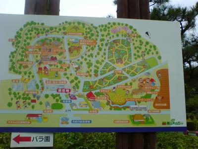 くさぶえの丘へ