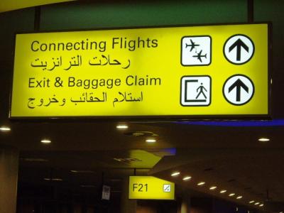 アフリカ旅行記①～エジプト（カイロへ往路）～