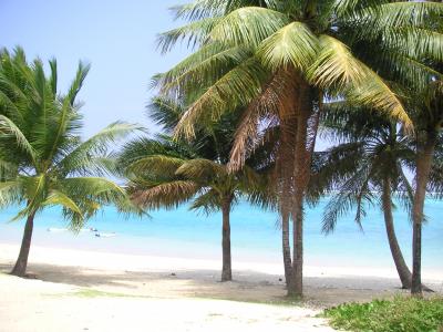 ぐぁむへ・・・