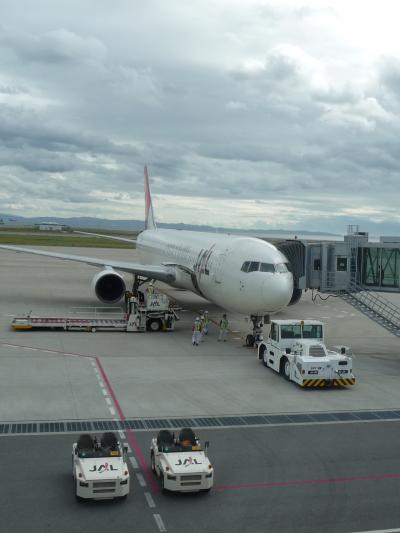 果たして飛行機は飛ぶのか！？神戸空港からの出発◆2009秋色の北海道《その１》