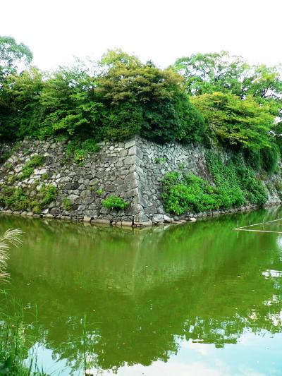 日本の旅　関西を歩く　奈良、郡山城天守跡、堀跡周辺