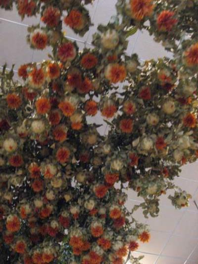 河口湖ドライブ　ハーブとお菓子を楽しんだ