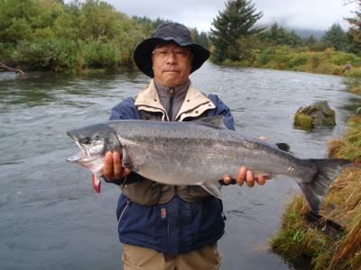年に2回のアラスカ釣行
