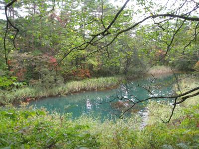 秋の福島　おなかも心も満たされた♪　【作成中】