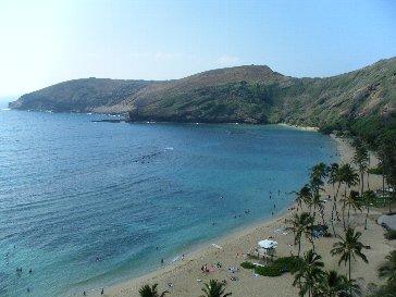 ハワイ②(ﾊﾜｲ島へ日帰り観光)