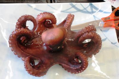 2006冬、日間賀島へ河豚を食べに(3/3)：ふぐ料理堪能の後は、採れたばかりの蛸を茹蛸