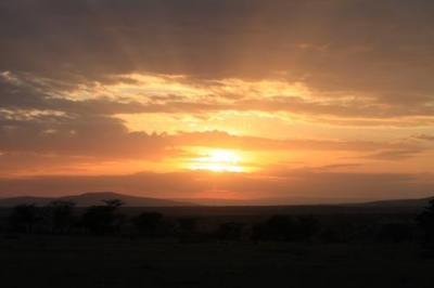 アフリカ旅行記⑧～ケニア（ナイロビ）～