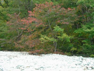　　　上高地（大正池～河童橋近辺）散策（９月２８日）